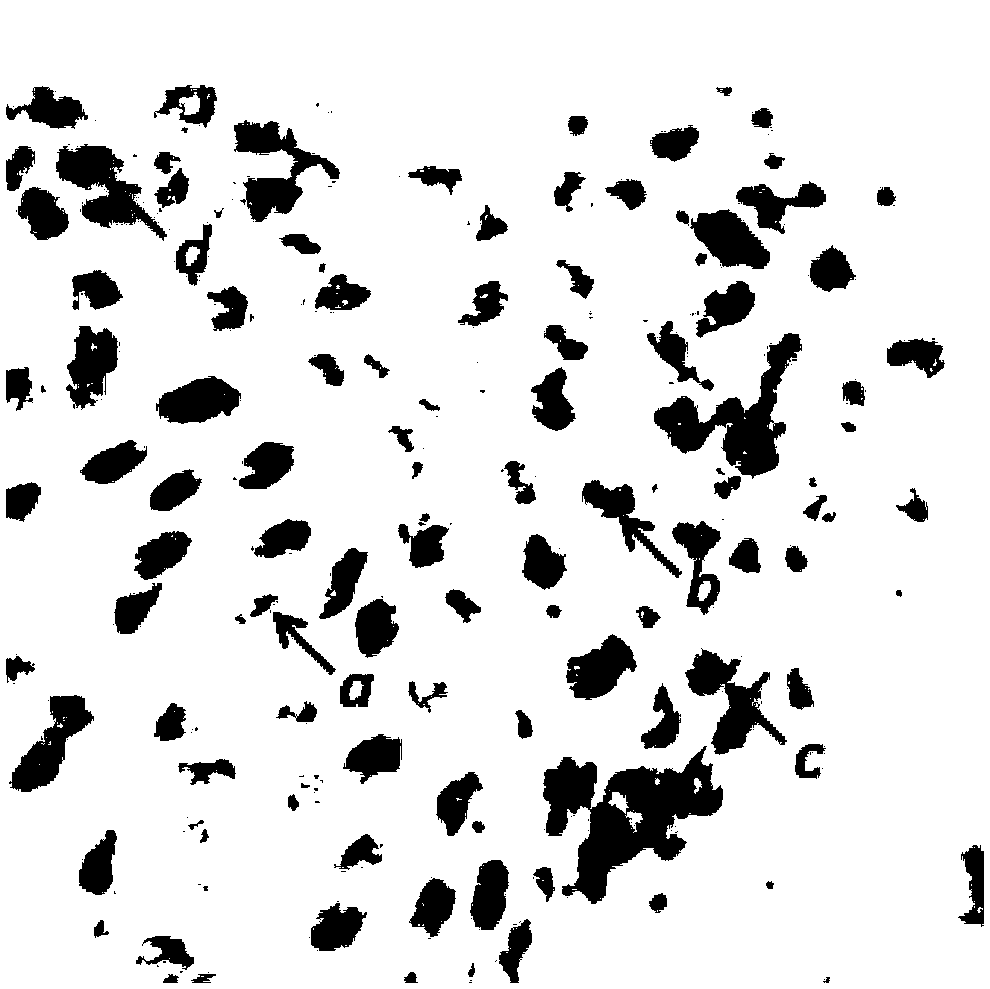 Grading model for detecting benign and malignant degrees of skin tumors and application thereof