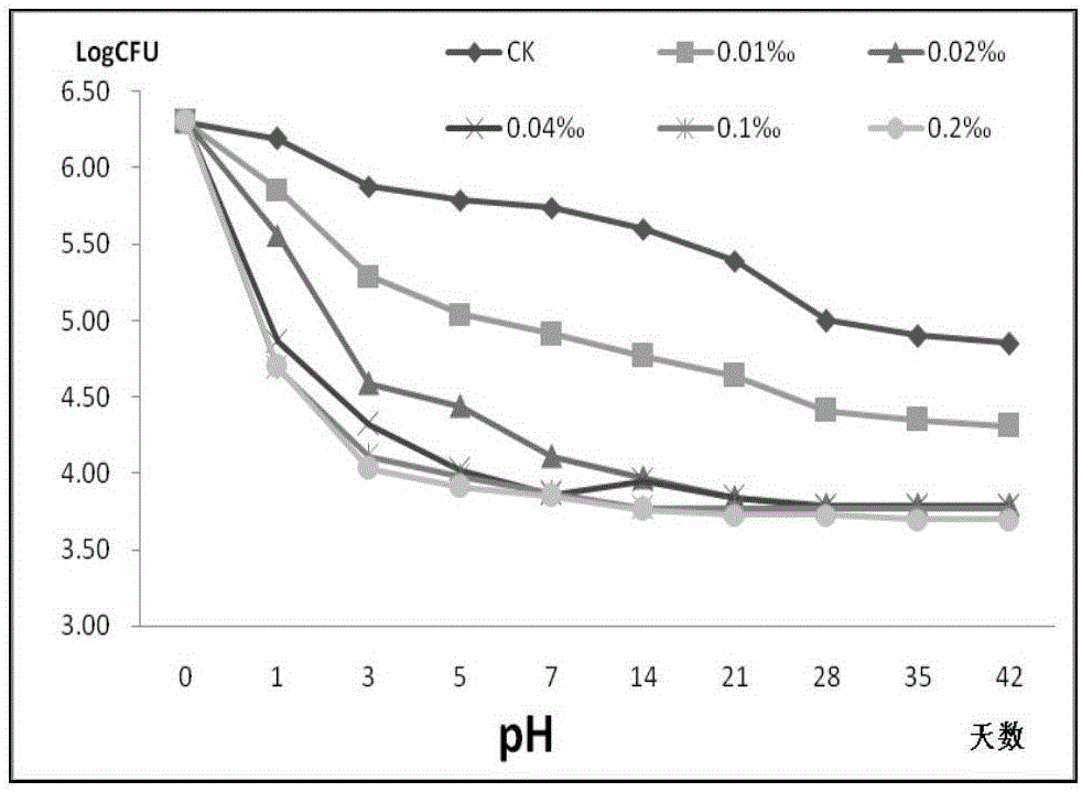 Lactic acid bacteria agent suitable for grass silage and application thereof