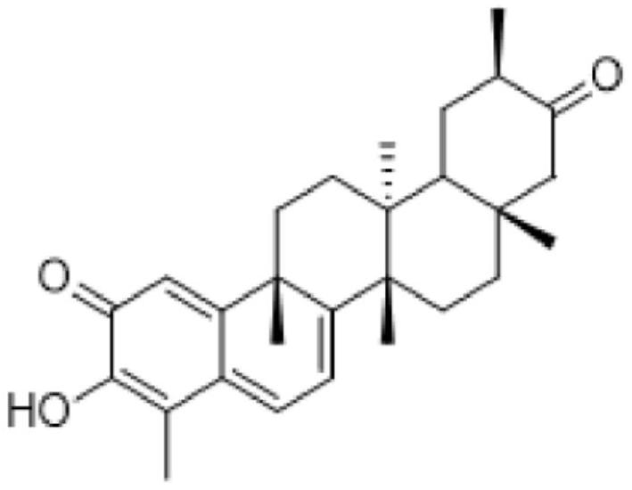 Pentacyclic triterpenes in treatment of vitiligo