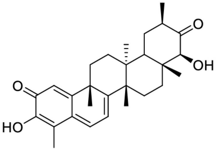 Pentacyclic triterpenes in treatment of vitiligo