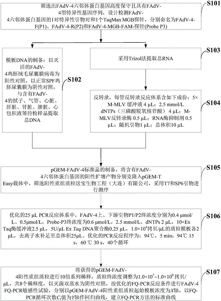 Fluorogenic quantitative PCR detection reagent and preparation method and application thereof