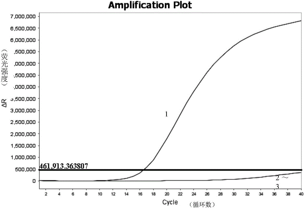 Fluorogenic quantitative PCR detection reagent and preparation method and application thereof