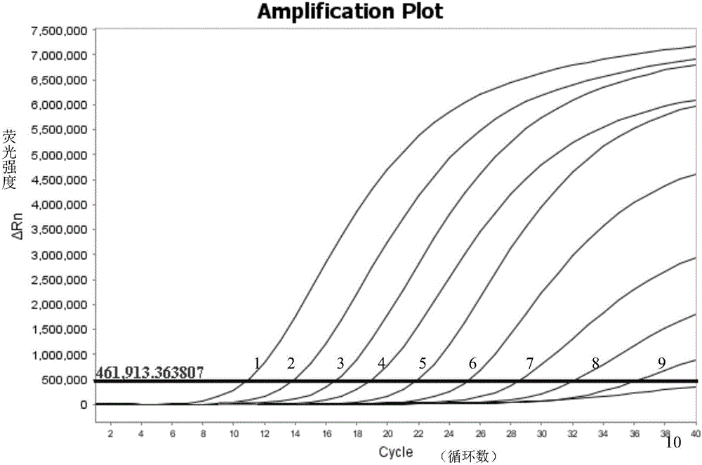 Fluorogenic quantitative PCR detection reagent and preparation method and application thereof