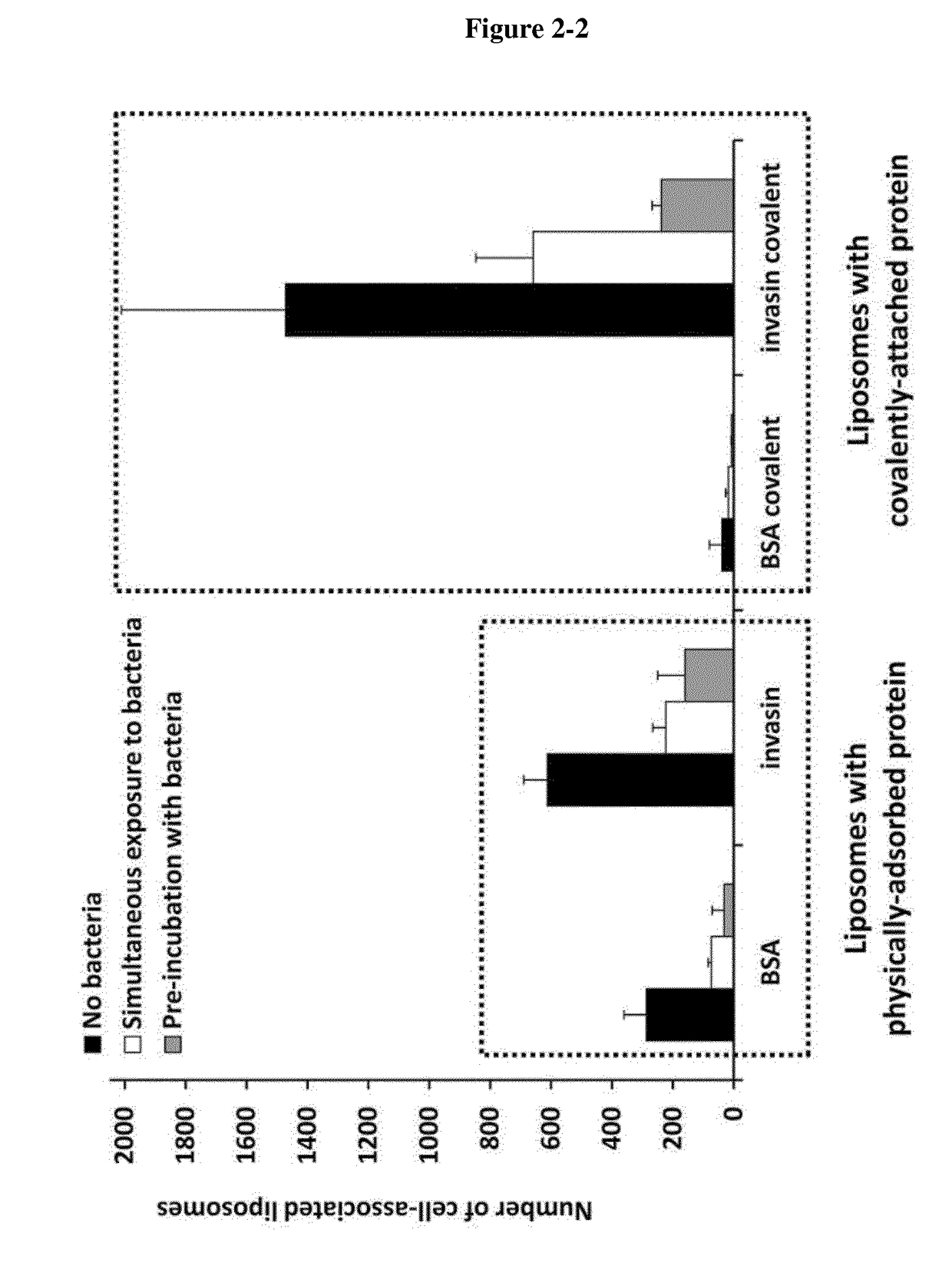 Methods and compositions of carrier systems for the purpose of intracellular drug targeting