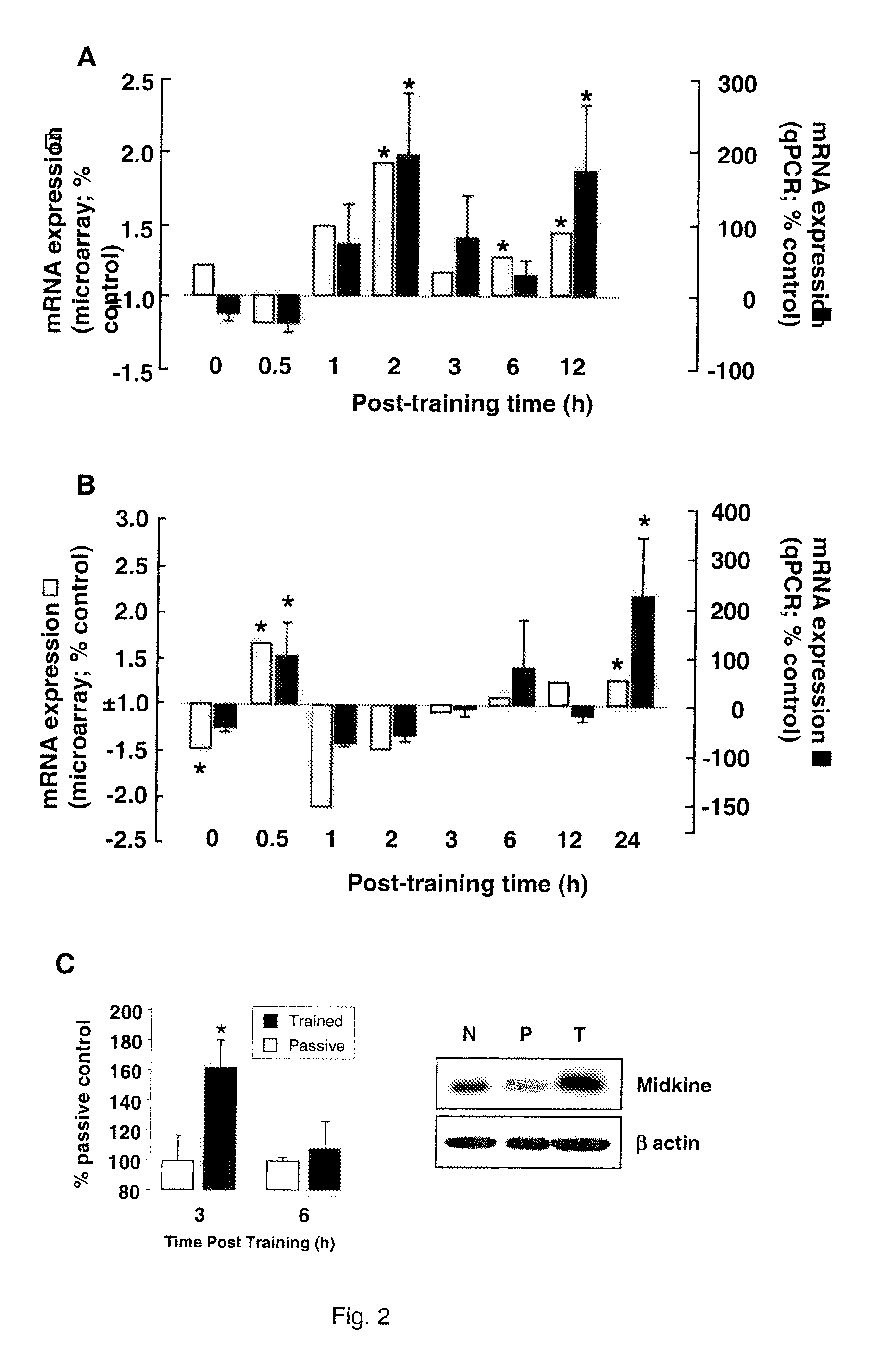 Alternatively Transcribed Genes Associated with Memory Consolidation