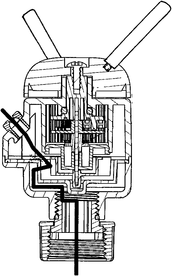 Cleaning head capable of automatically spraying water and with hairbrush