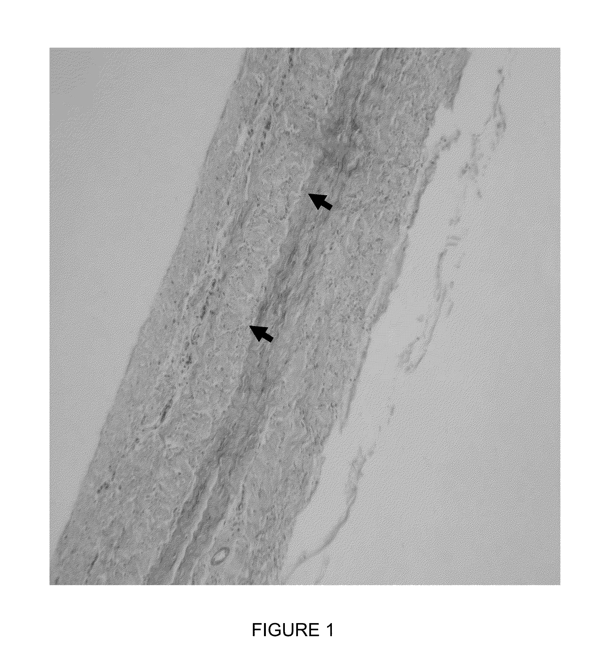 Biomaterials with enhanced properties and devices made therefrom