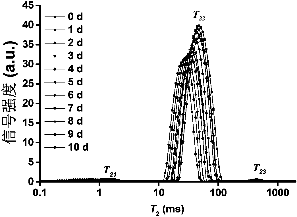 Low field nuclear magnetic resonance-applied frozen beef freshness nondestructive testing method