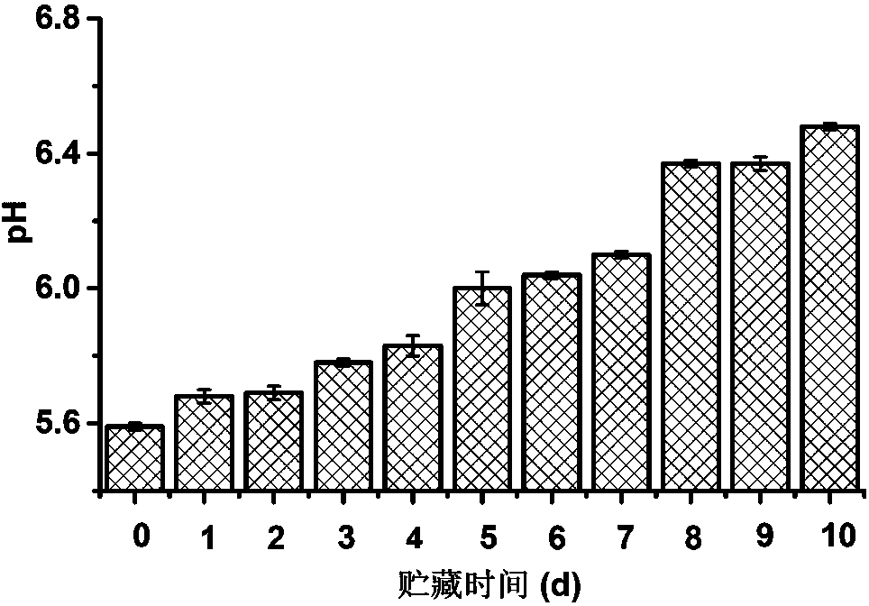 Low field nuclear magnetic resonance-applied frozen beef freshness nondestructive testing method