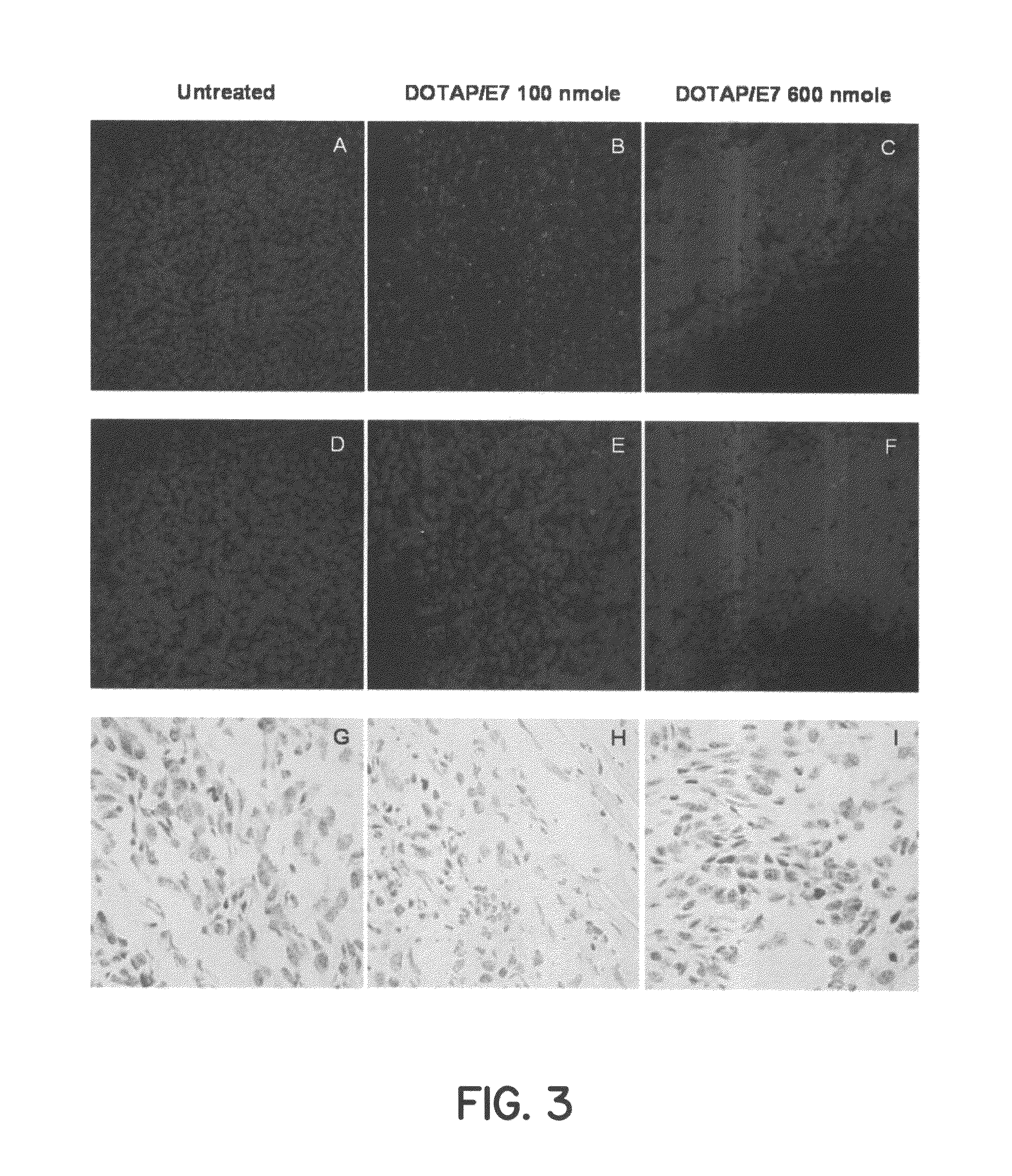 Stimulation of an immune response by cationic lipids