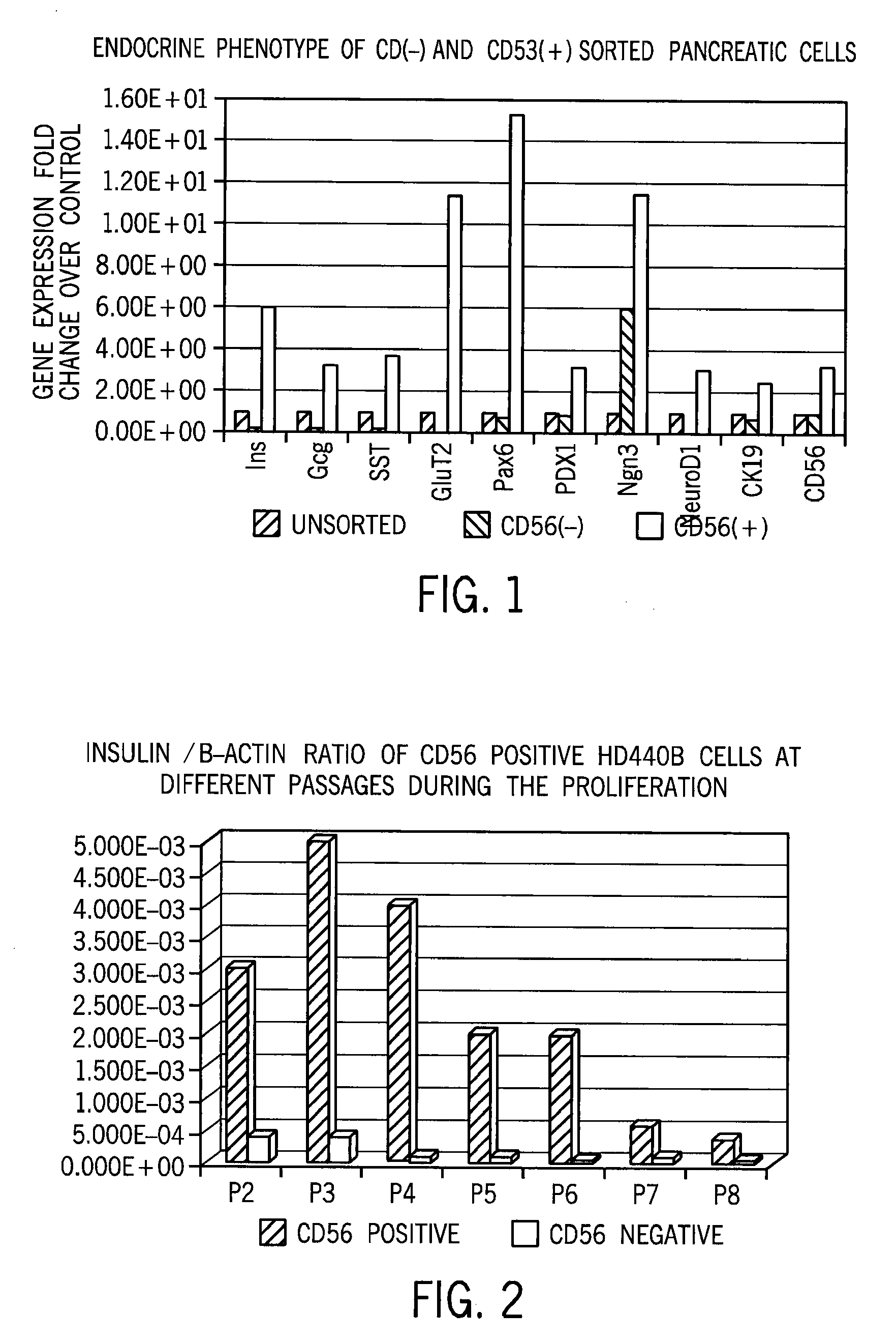 Cd56 positive human adult pancreatic endocrine progenitor cells