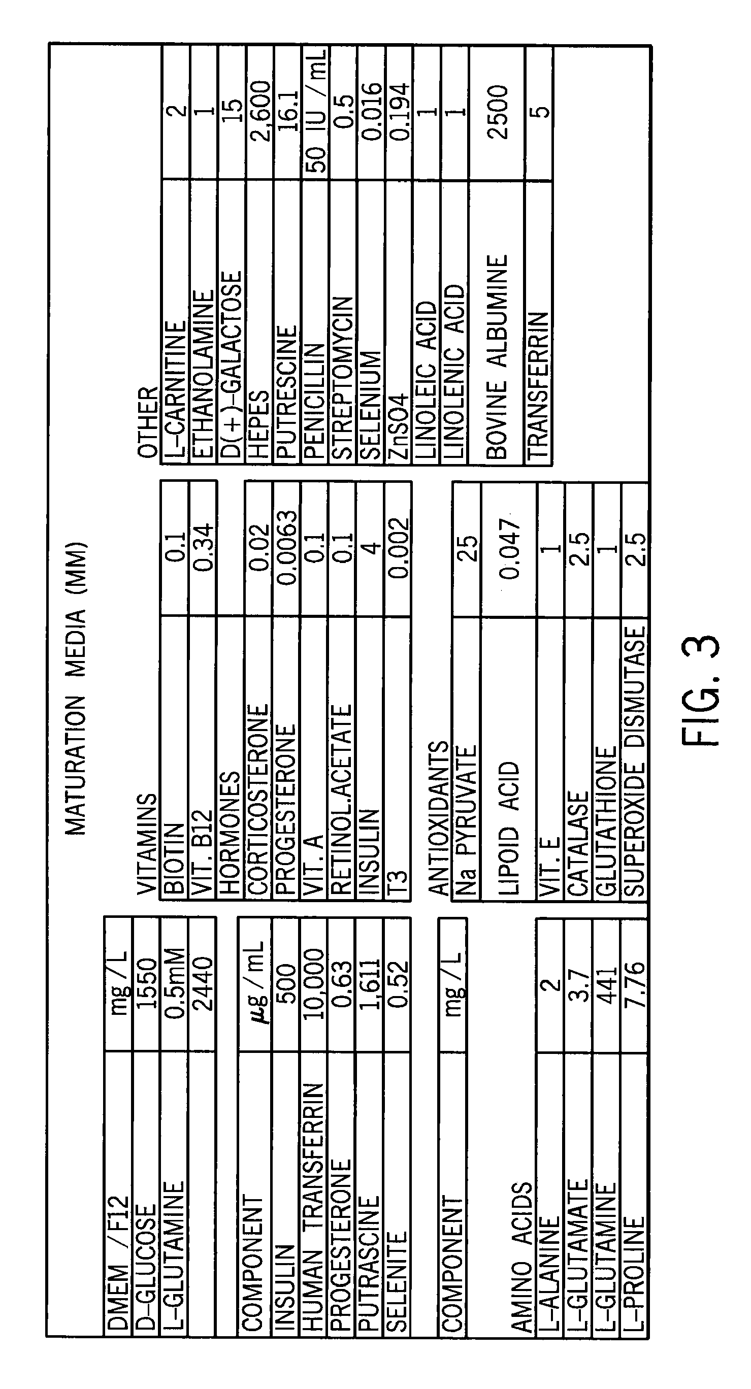 Cd56 positive human adult pancreatic endocrine progenitor cells