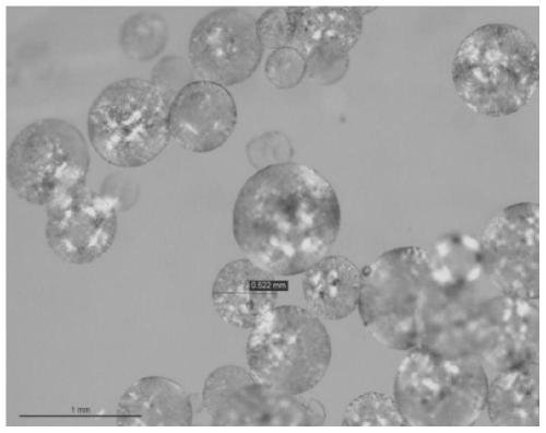 A drug-loaded polyvinyl alcohol microsphere