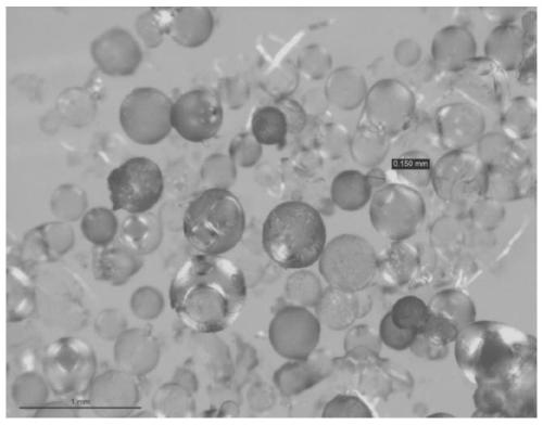 A drug-loaded polyvinyl alcohol microsphere