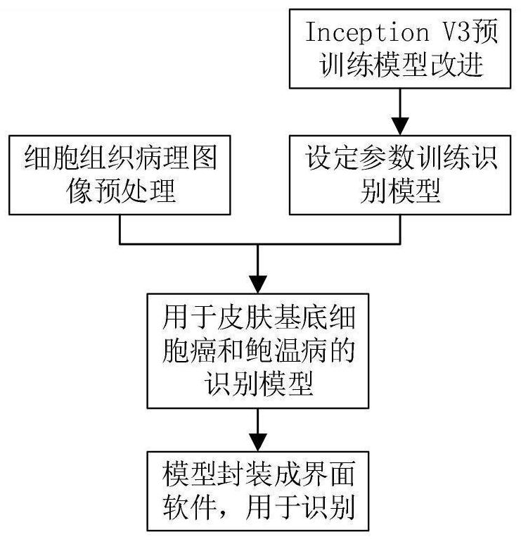 Skin basal cell carcinoma and abalone warm disease recognition method based on deep learning