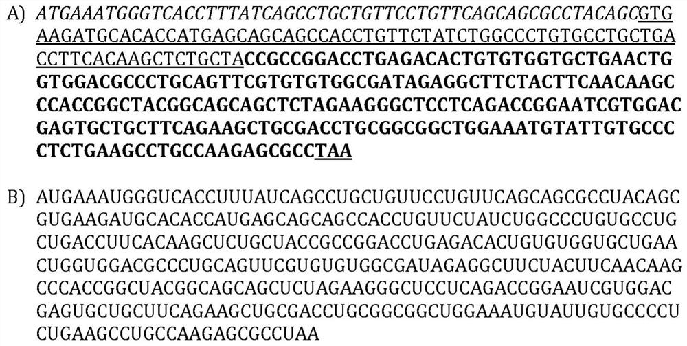 RNA encoding protein