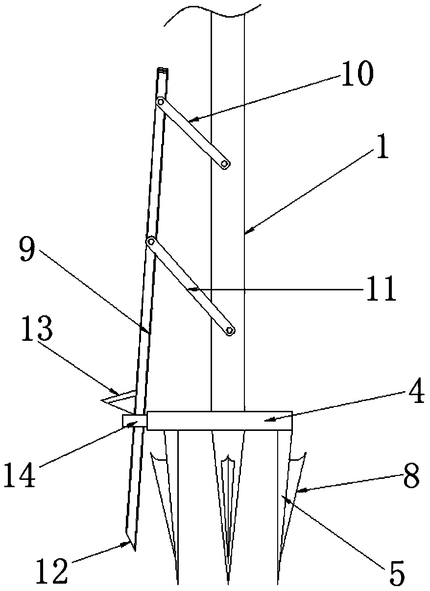 Novel vegetable greenhouse fixing device