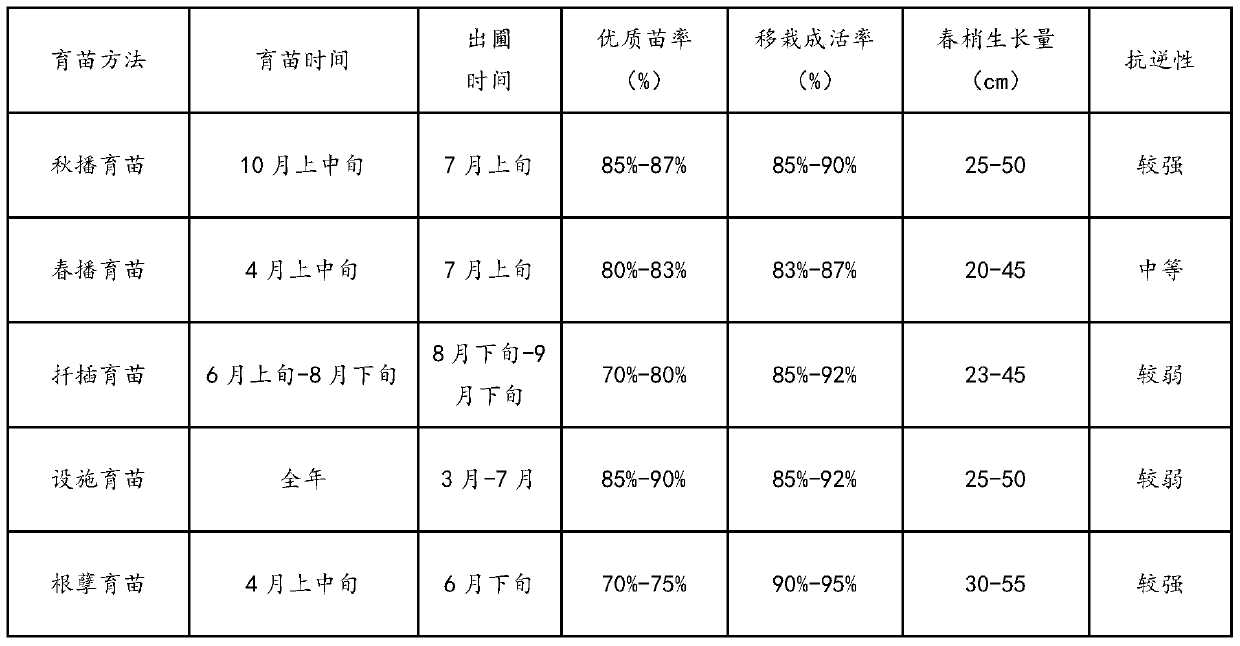 A method for raising seedlings of Heiqi No. 1 by snow sowing