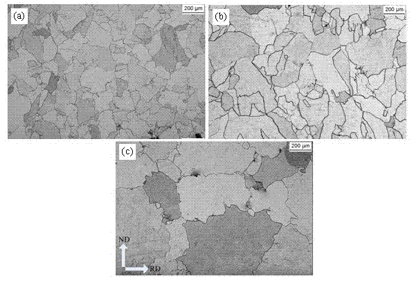 Method for preparing non-oriented electrical steel for high-efficient motor via twin roll strip casting