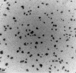 Oil-in-water type compound ketoconazole nano-medicament and preparation method thereof