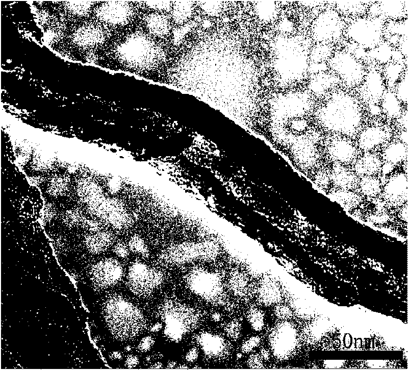 Carbon doped boron-nitrogen nanotube/semiconductor oxide composite and preparation method and application thereof