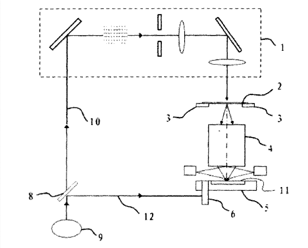 Method for manufacturing standard wafer