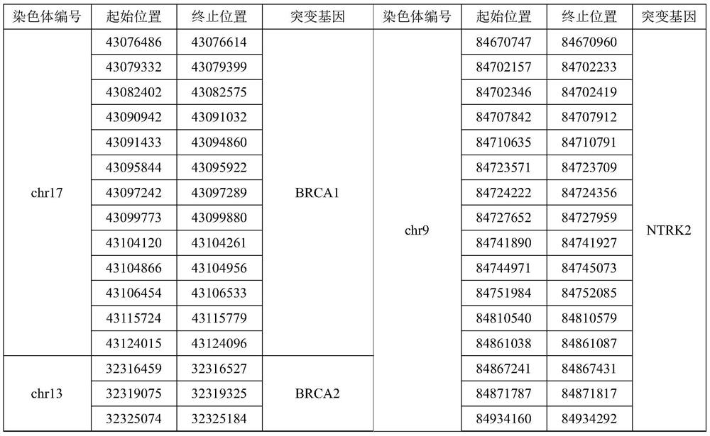 Gene panel used for detecting breast cancer gene mutation, detection method used for detecting breast cancer gene mutation and application of gene panel