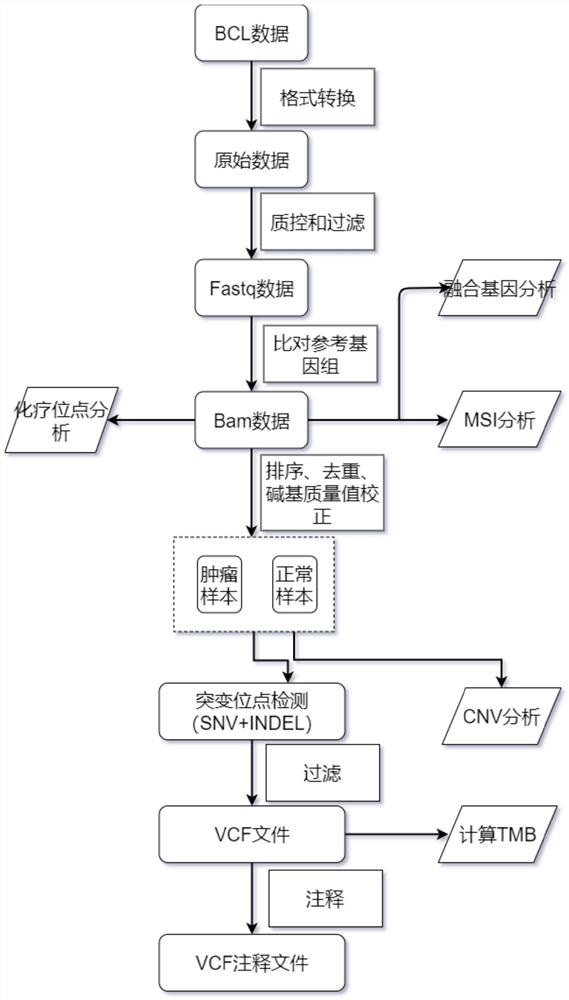 Gene panel used for detecting breast cancer gene mutation, detection method used for detecting breast cancer gene mutation and application of gene panel