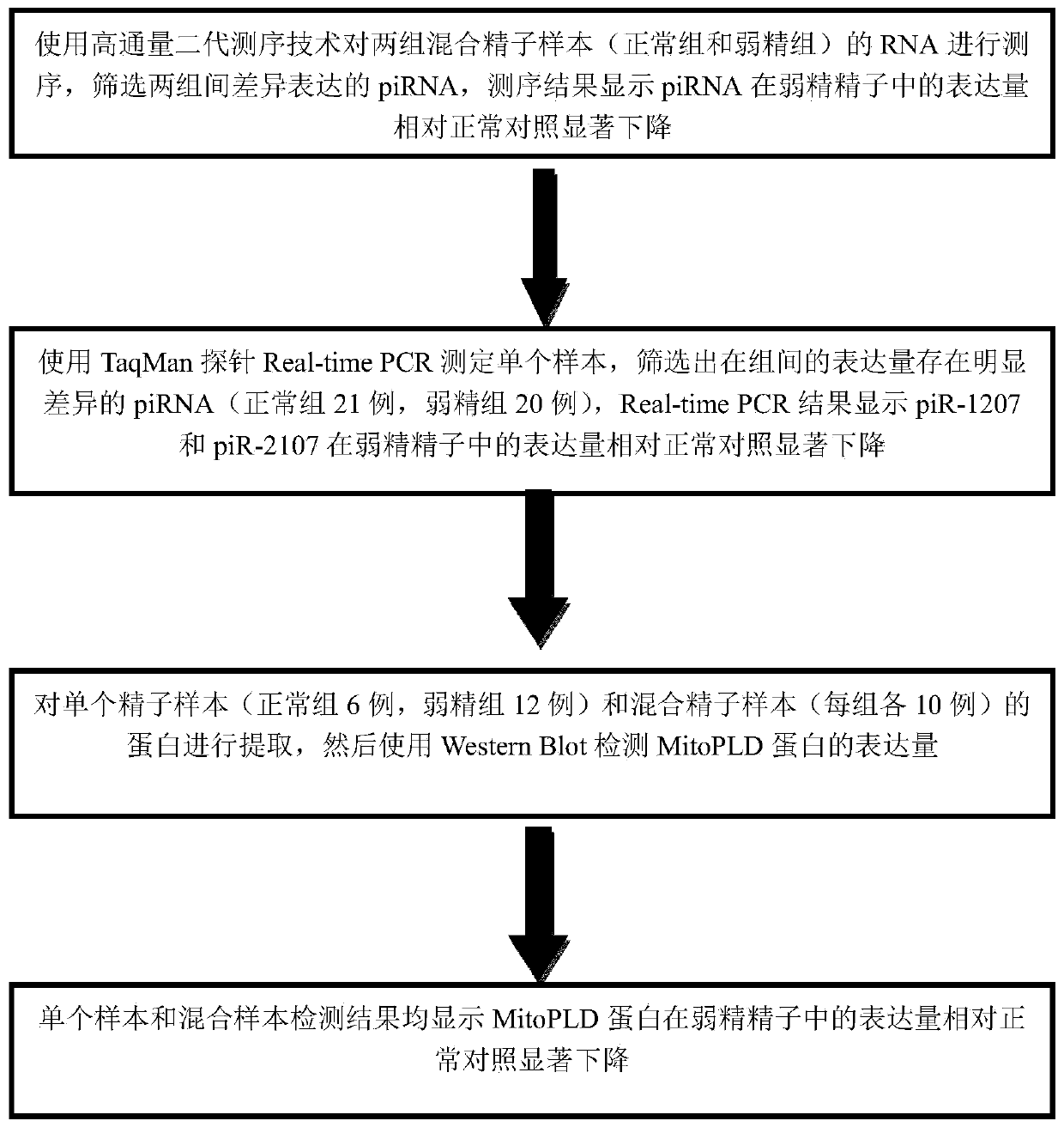 A combination of sperm pirna markers associated with male reproductive dysfunction and its application