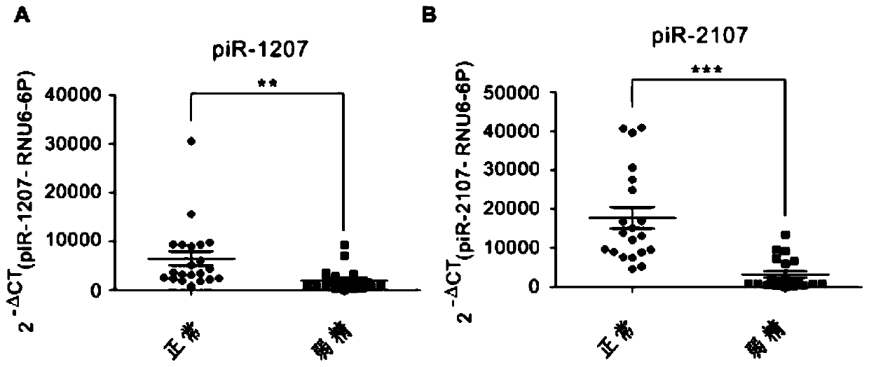 A combination of sperm pirna markers associated with male reproductive dysfunction and its application