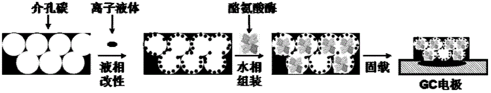 Method for detecting phenol compounds in water body environment through enzyme electrochemical biosensor