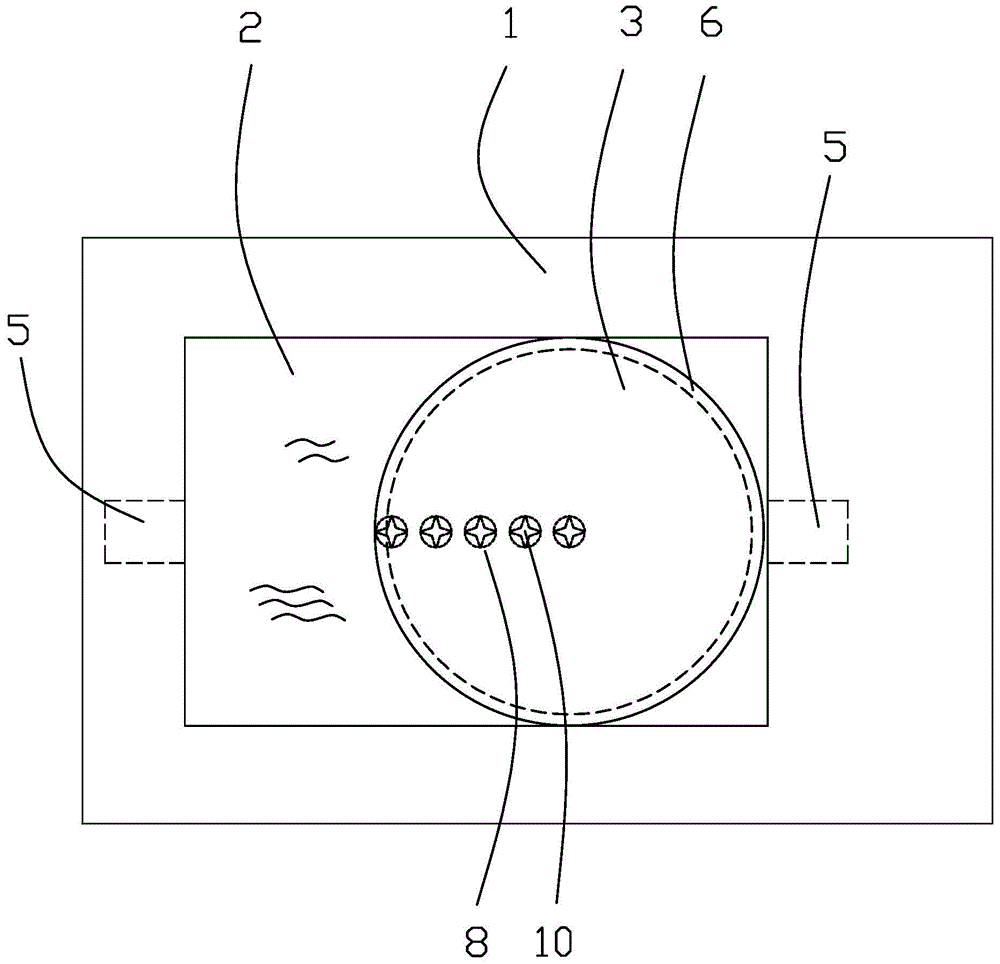 New beef freshness rapid nondestructive detection device and detection method