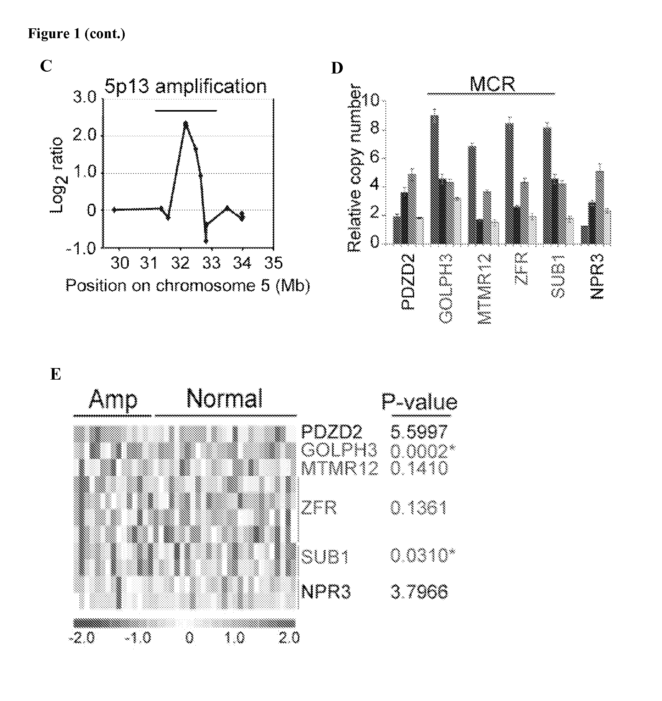 Compositions, Kits, and Methods for the Diagnosis, Prognosis, and Monitoring of Cancer Using GOLPH3