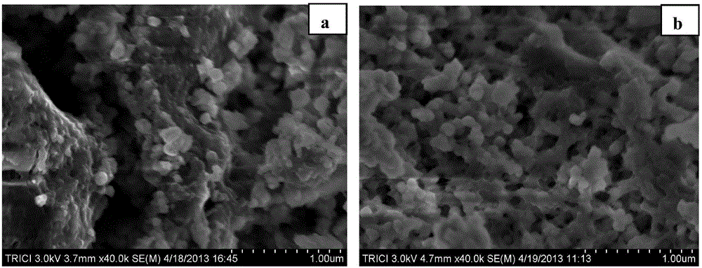 A kind of preparation method of magnetic lead ion surface imprinted polymer