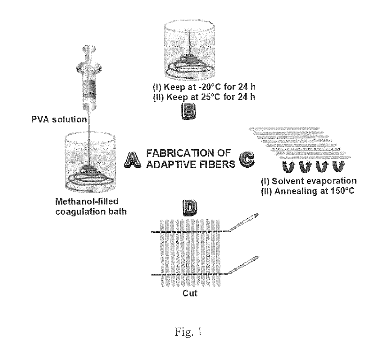 Physiologically responsive mechanically adaptive polymer optical fibers, production and methods of use