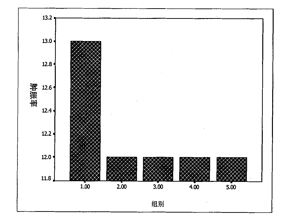 Medicament for treating gonarthromeningitis and preparation technology thereof