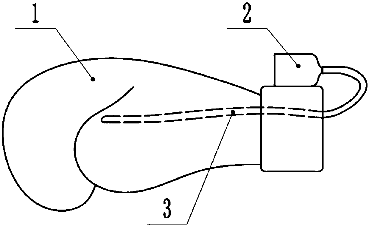 Customized motion data collecting system