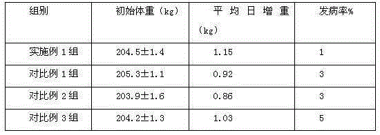 Nanyang yellow cattle feed