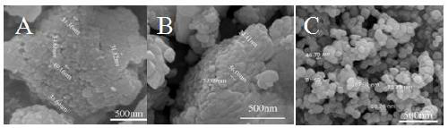 A kind of oral preparation for removing lead in vivo and administration method thereof