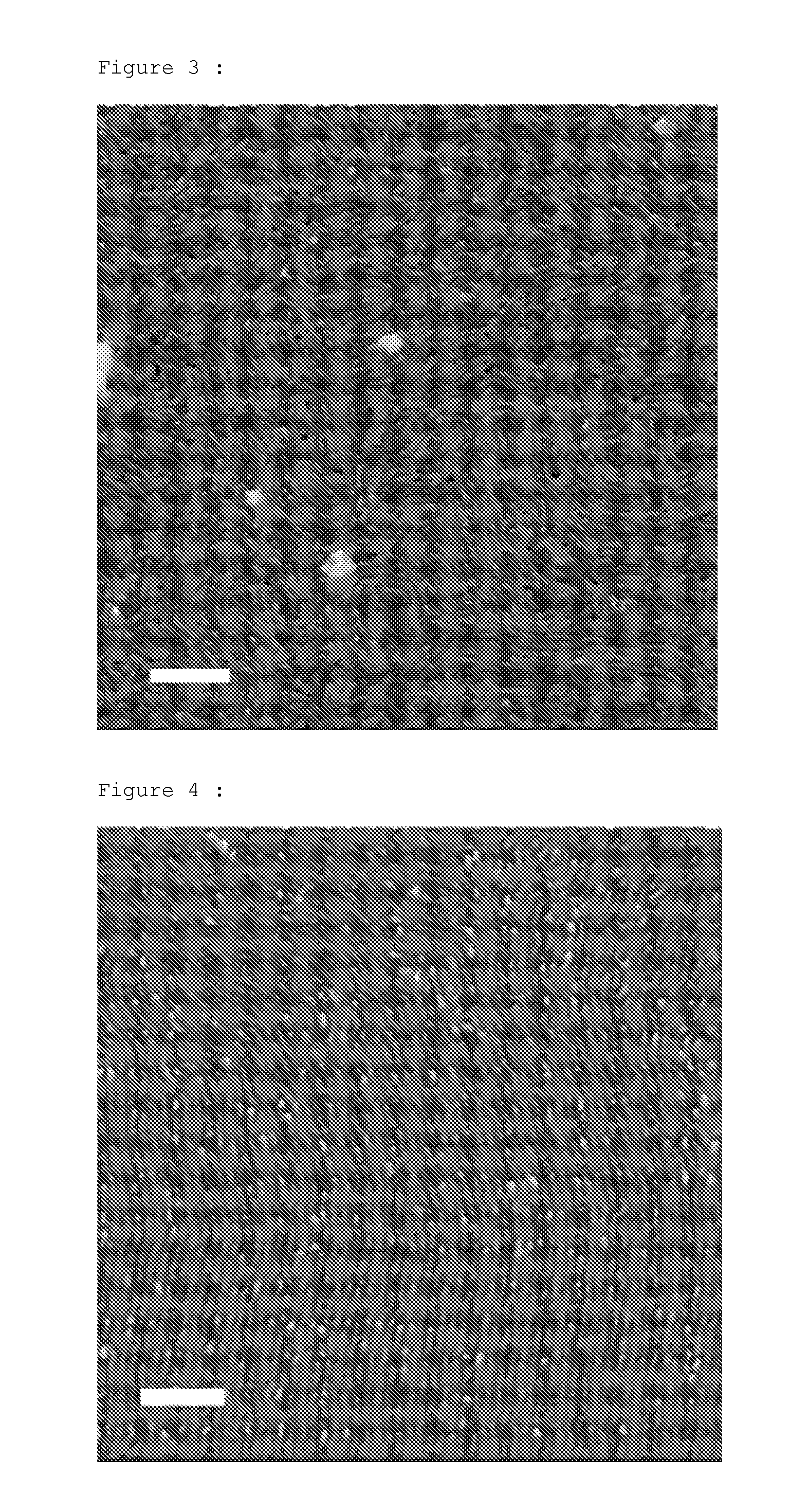 Process that enables the creation of nanometric structures by self-assembly of block copolymers