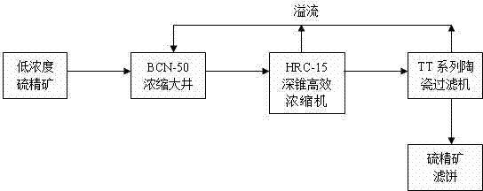 Sulfur concentrate concentration and dehydration process