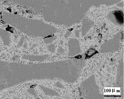 Al2O3-Cr2O3 refractory material having microporous structure