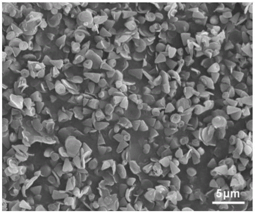 Preparation and stripping methods of lamellar zinc hydroxide and zinc oxide nanocones