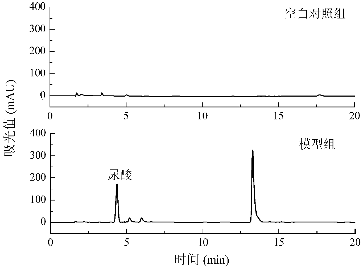 A kind of hyperuricemia hepatocyte model and its construction method