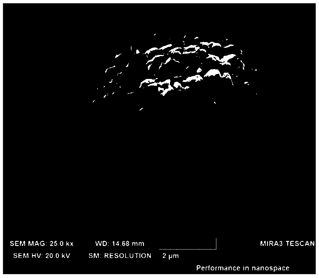 Preparation method and application of a fast ion conductor coating modified lithium ion battery positive electrode material