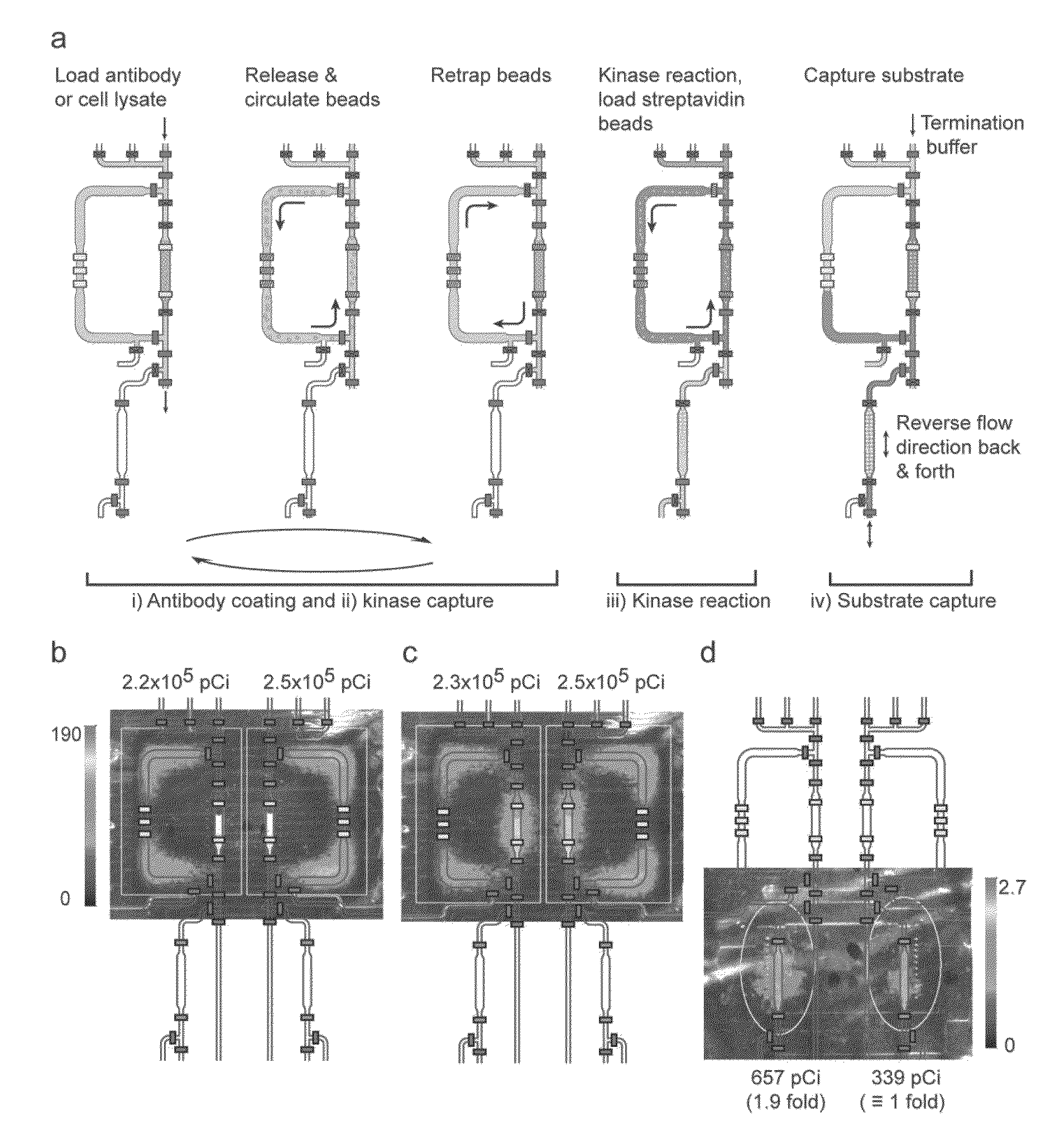 Integrated microfluidic radioassay and imaging platform for small sample analysis