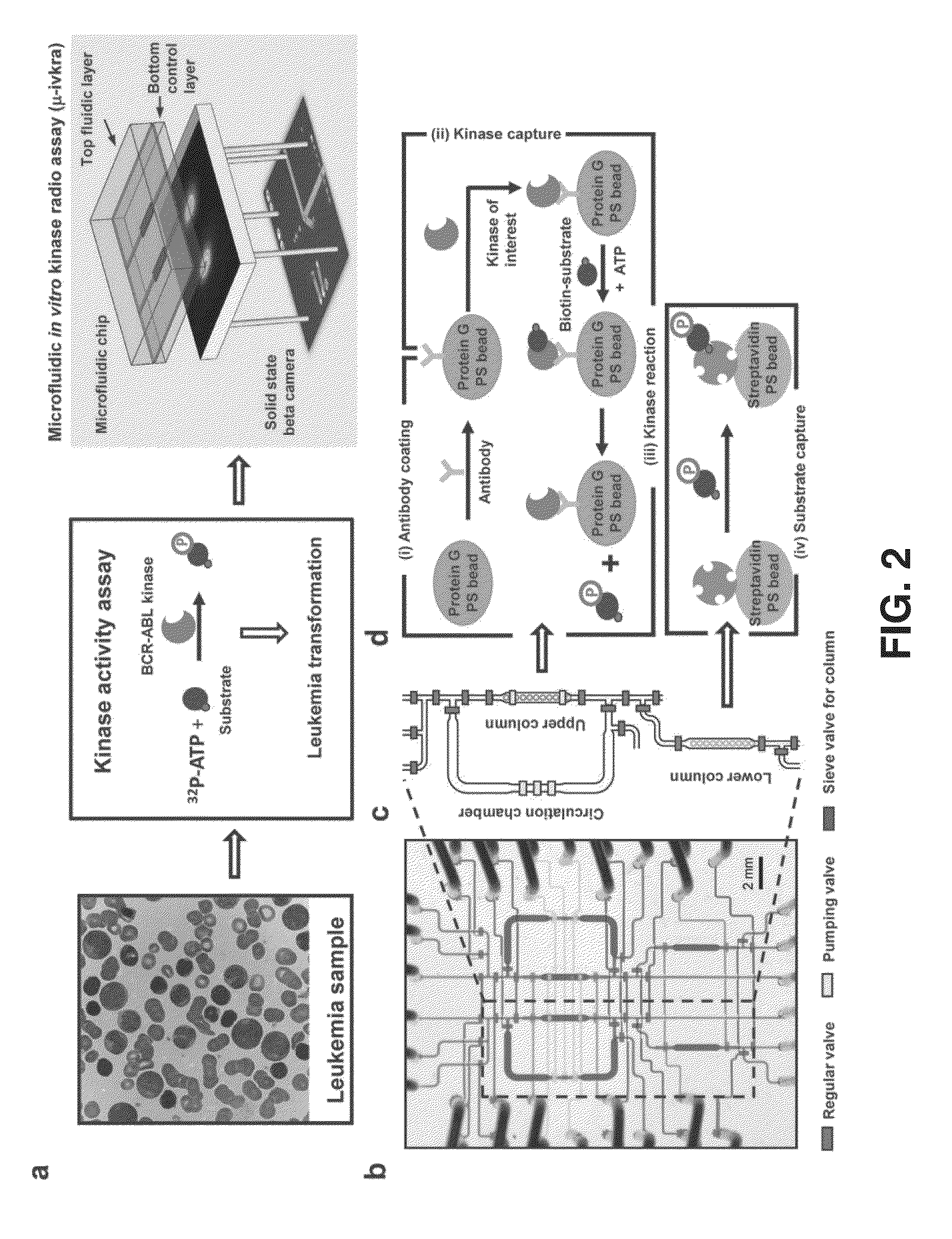 Integrated microfluidic radioassay and imaging platform for small sample analysis