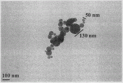 Lys-Glu modified indoloquinolizine, preparation, nano-structure, activity and application thereof