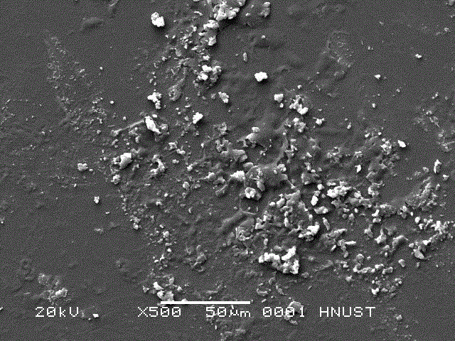 Preparation method of anti-fog self-cleaning glass with composite coating