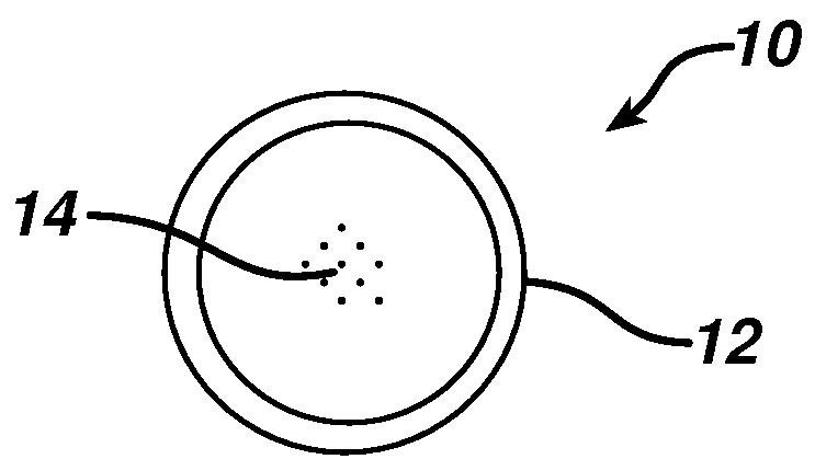 Fluorescent nanoparticle scope